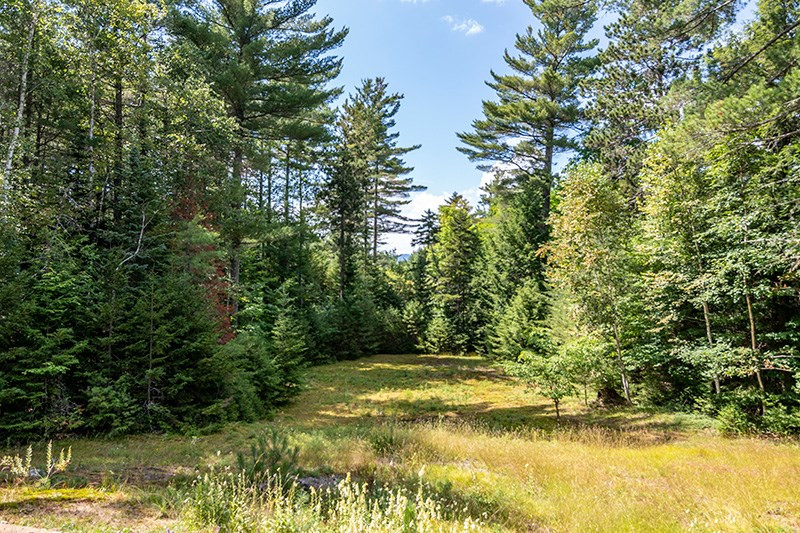 13 Cavanaugh Road Keene, NY 12942 - Photo 20 of 40 Gallery Image 20