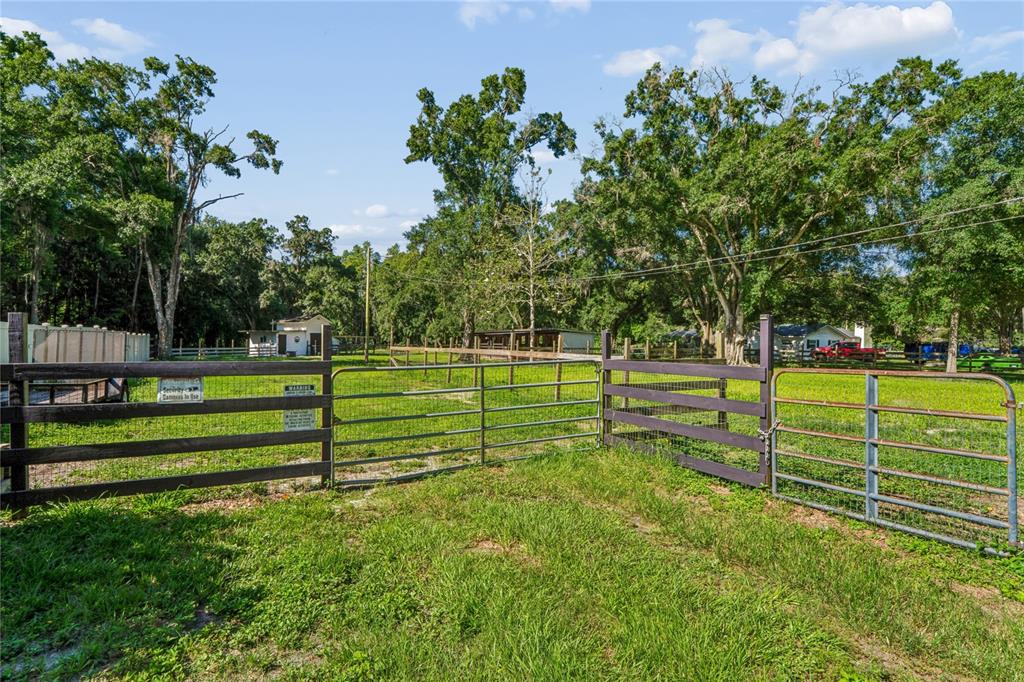 3530 Old Keystone Road Tarpon Springs, FL 34688 - Photo 56 of 71