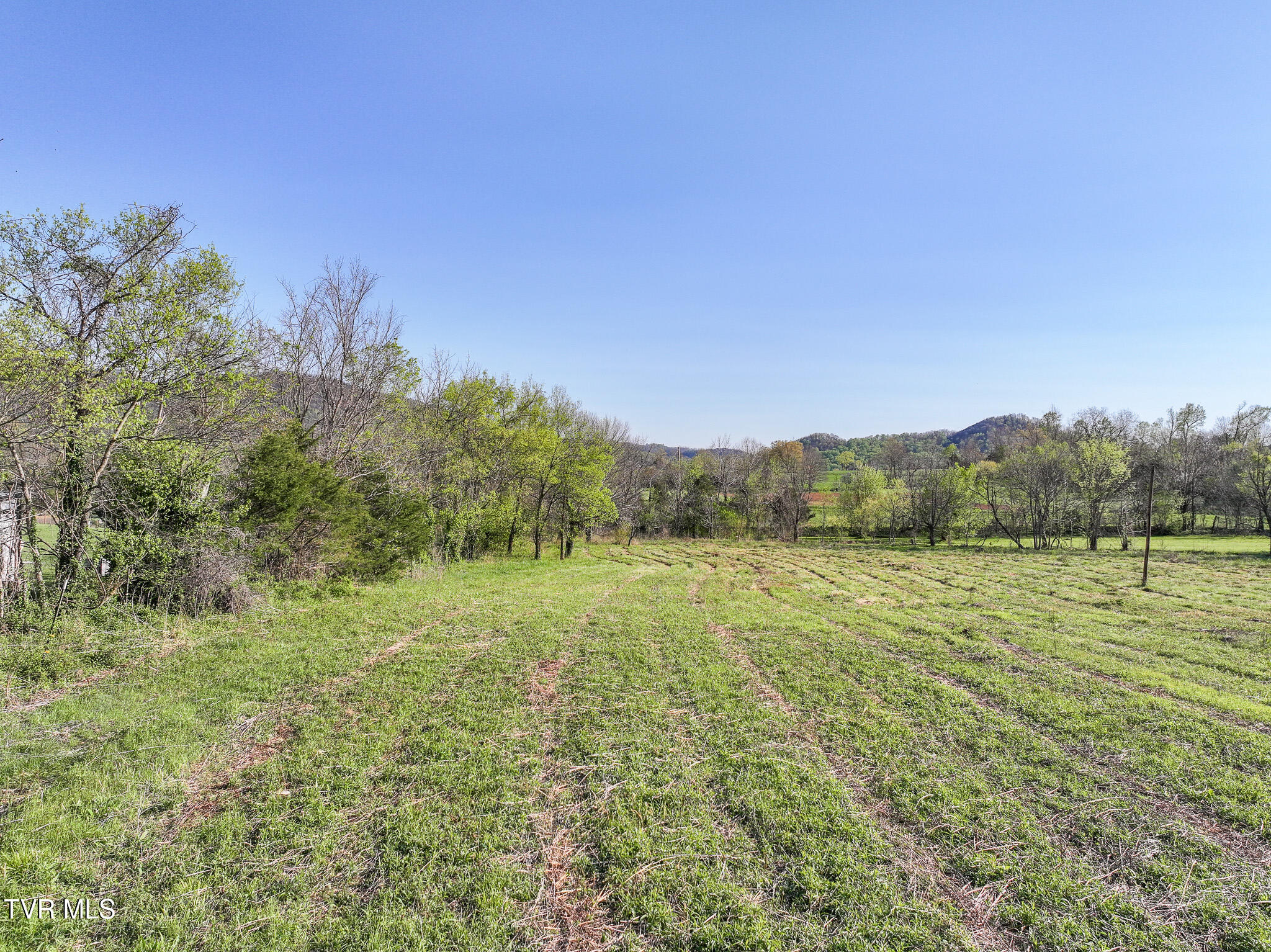 525 Kelley Gap Road Greeneville, TN 37743 - Photo 14 of 27 DJI_20260407162648_0636_D