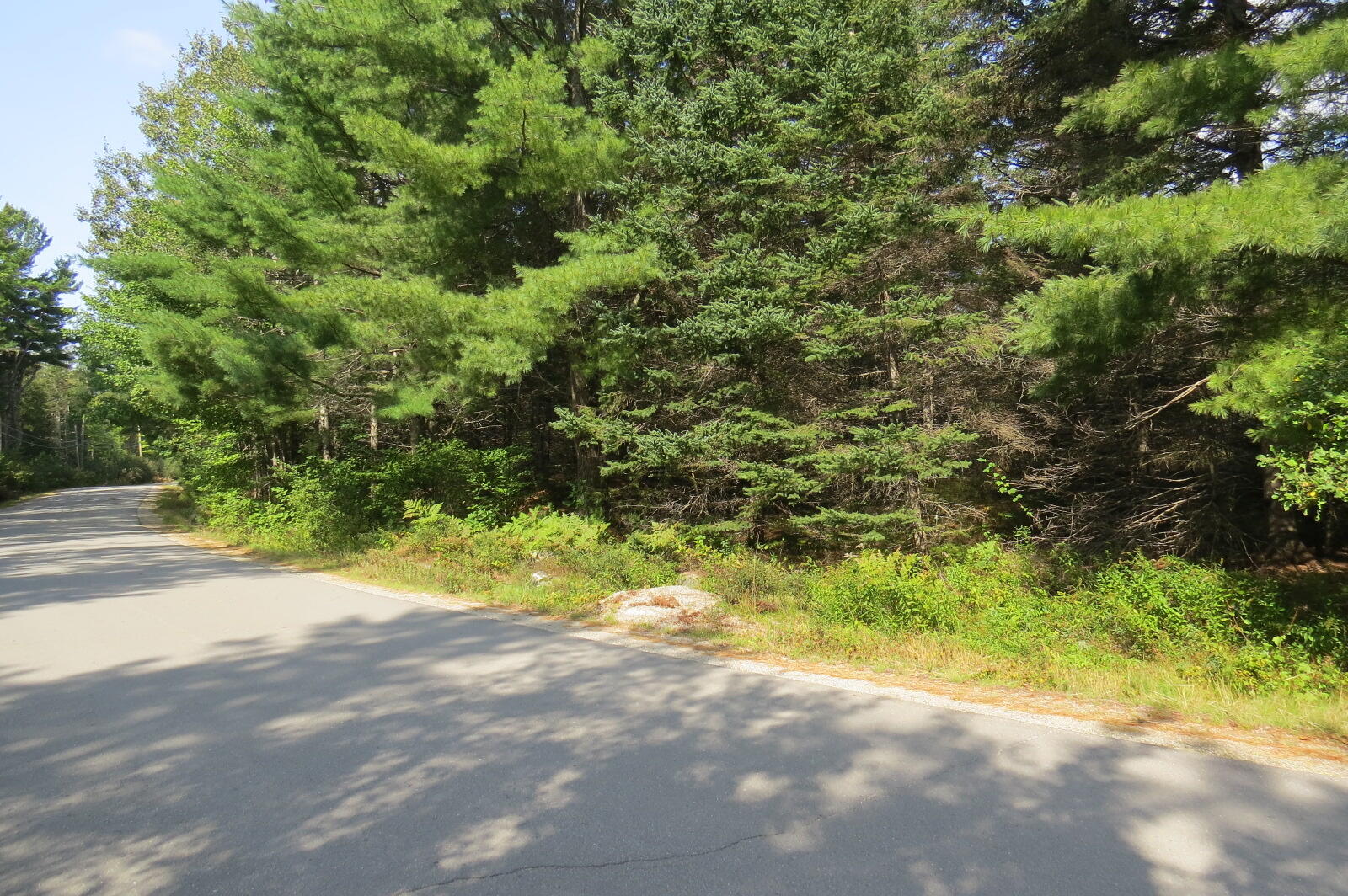0 Donnell Pond Road Franklin, ME 04634 - Photo 11 of 21 IMG_9370