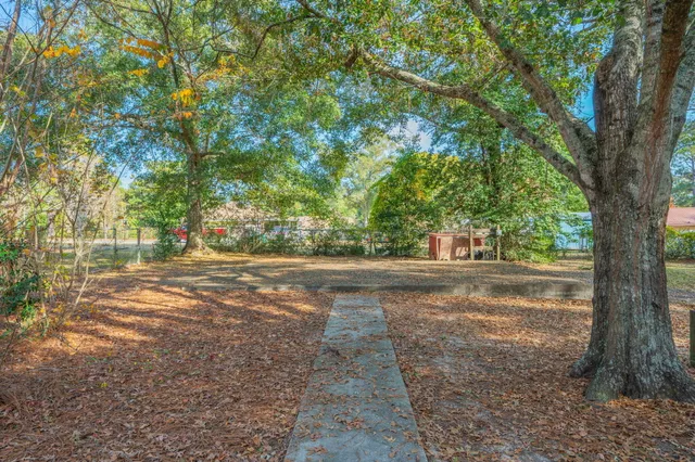 a view of a yard with a trees