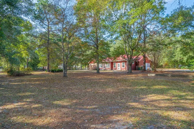 a view of a trees in a yard