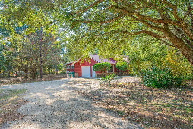 a big room with trees in front of it