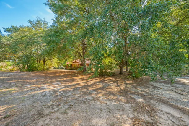 a view of dirt field with trees