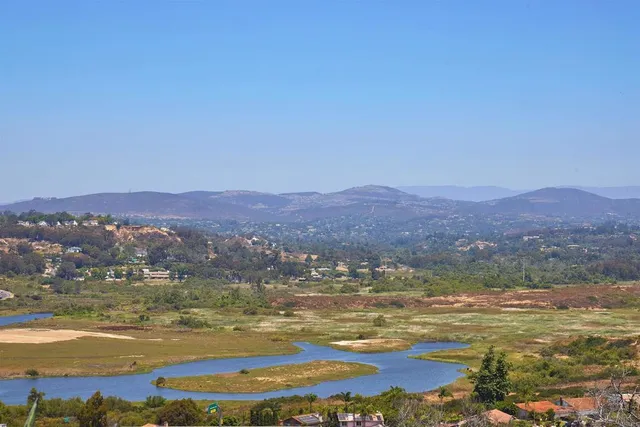 a view of a garden with plants and flowers