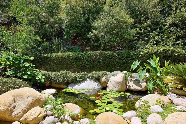 a backyard of a house with lots of green space