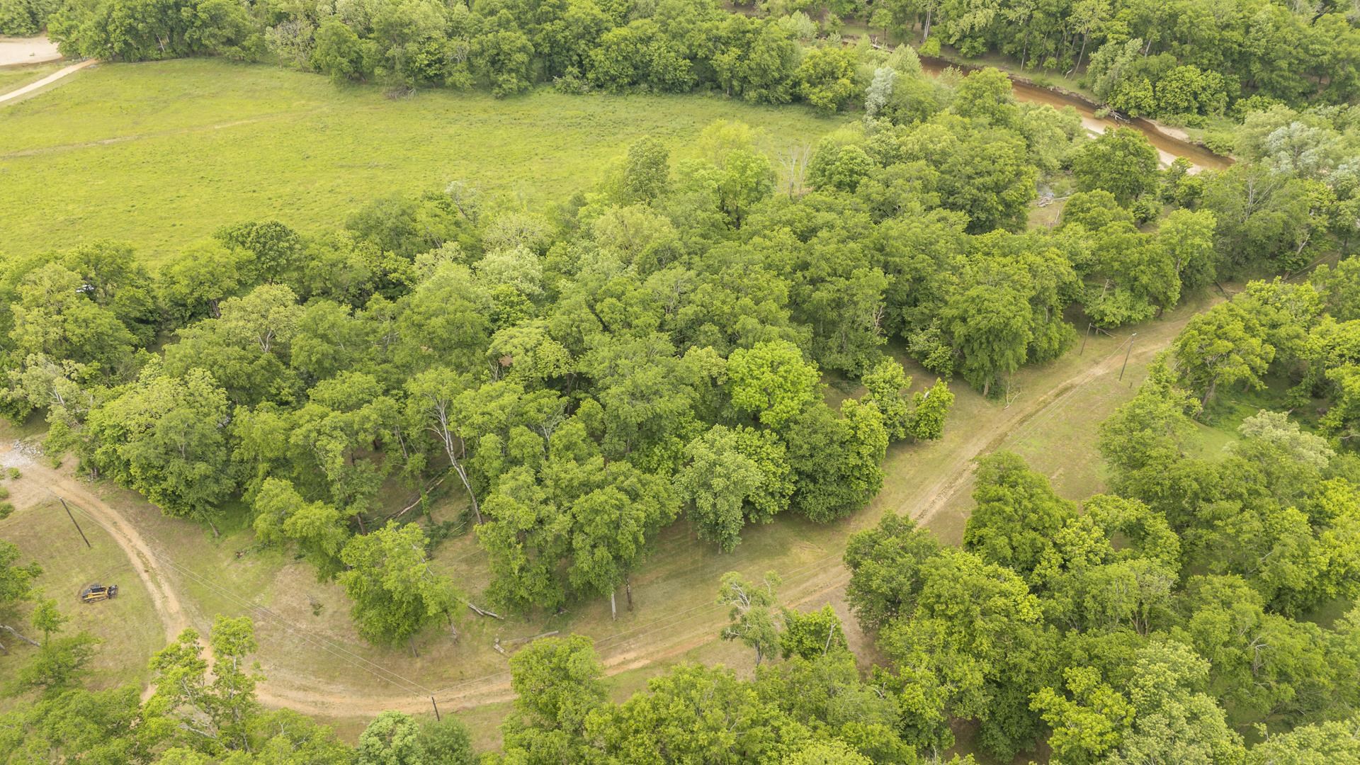 Buffalo River Road Waynesboro, TN 38485 - Photo 11 of 40 a view of a lake with a yard