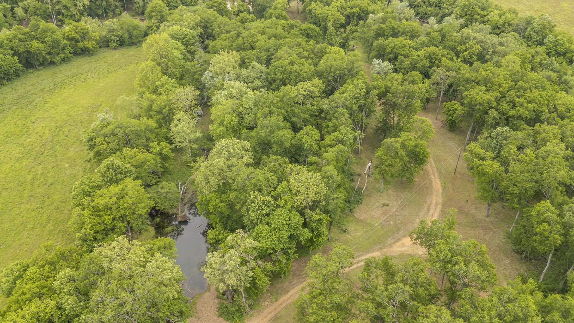 Buffalo River Road Waynesboro, TN 38485 - Photo 15 of 40 a view of a lake with a house