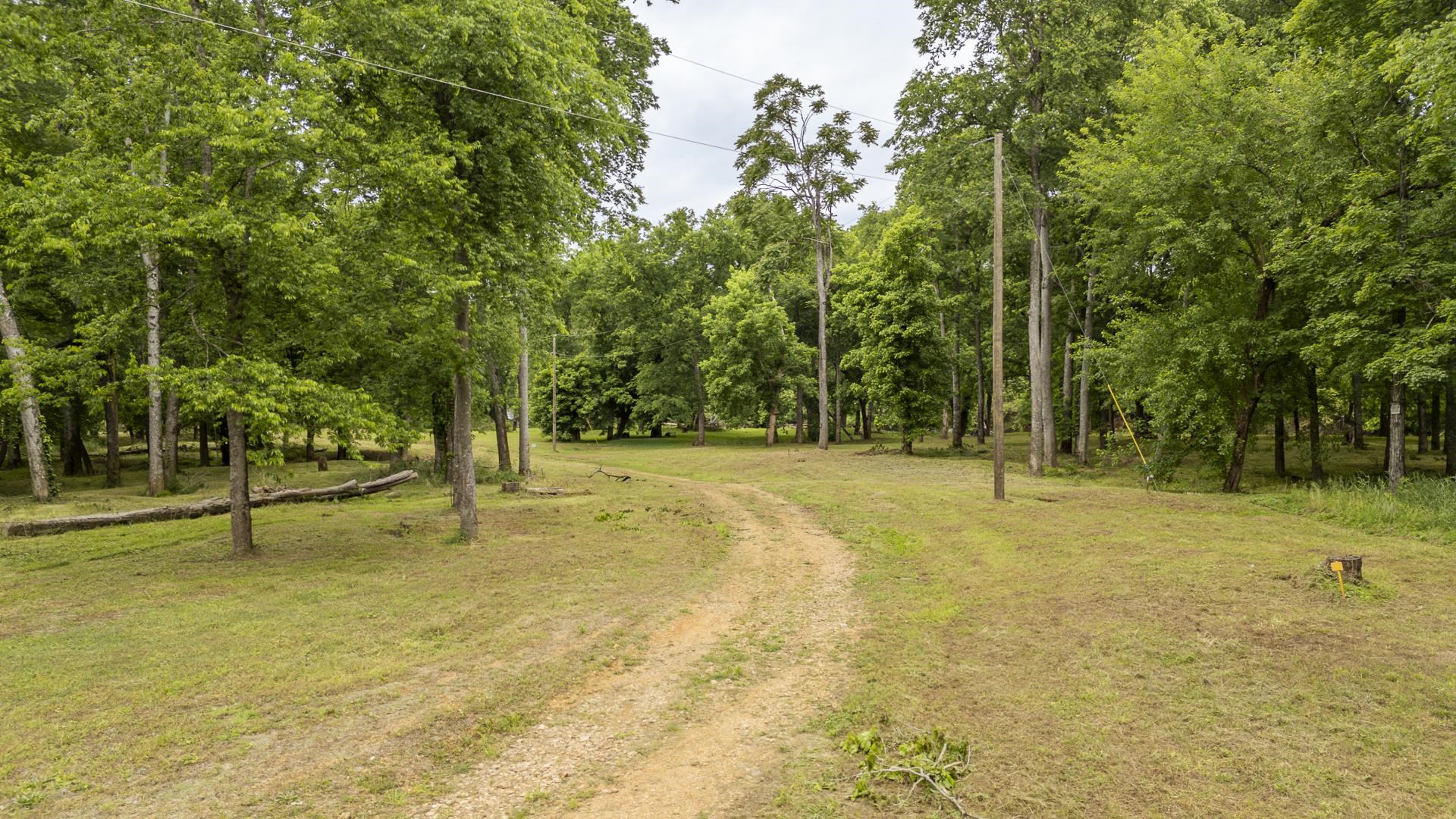 Buffalo River Road Waynesboro, TN 38485 - Photo 19 of 40 a view of swimming pool with trees