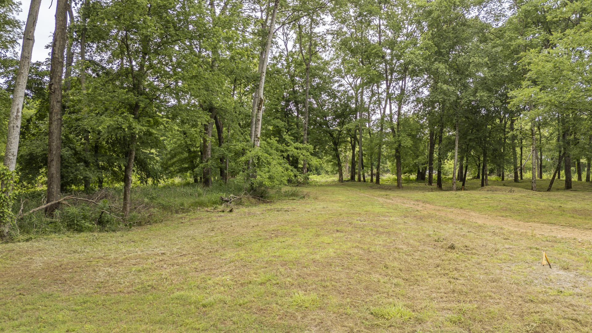 Buffalo River Road Waynesboro, TN 38485 - Photo 20 of 40 a view of outdoor space with trees