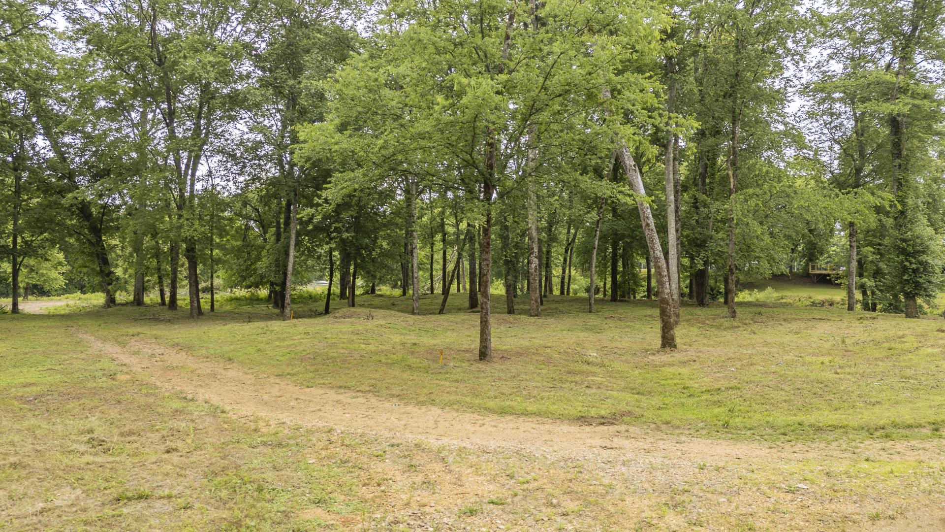 Buffalo River Road Waynesboro, TN 38485 - Photo 21 of 40 a house with trees in front of it