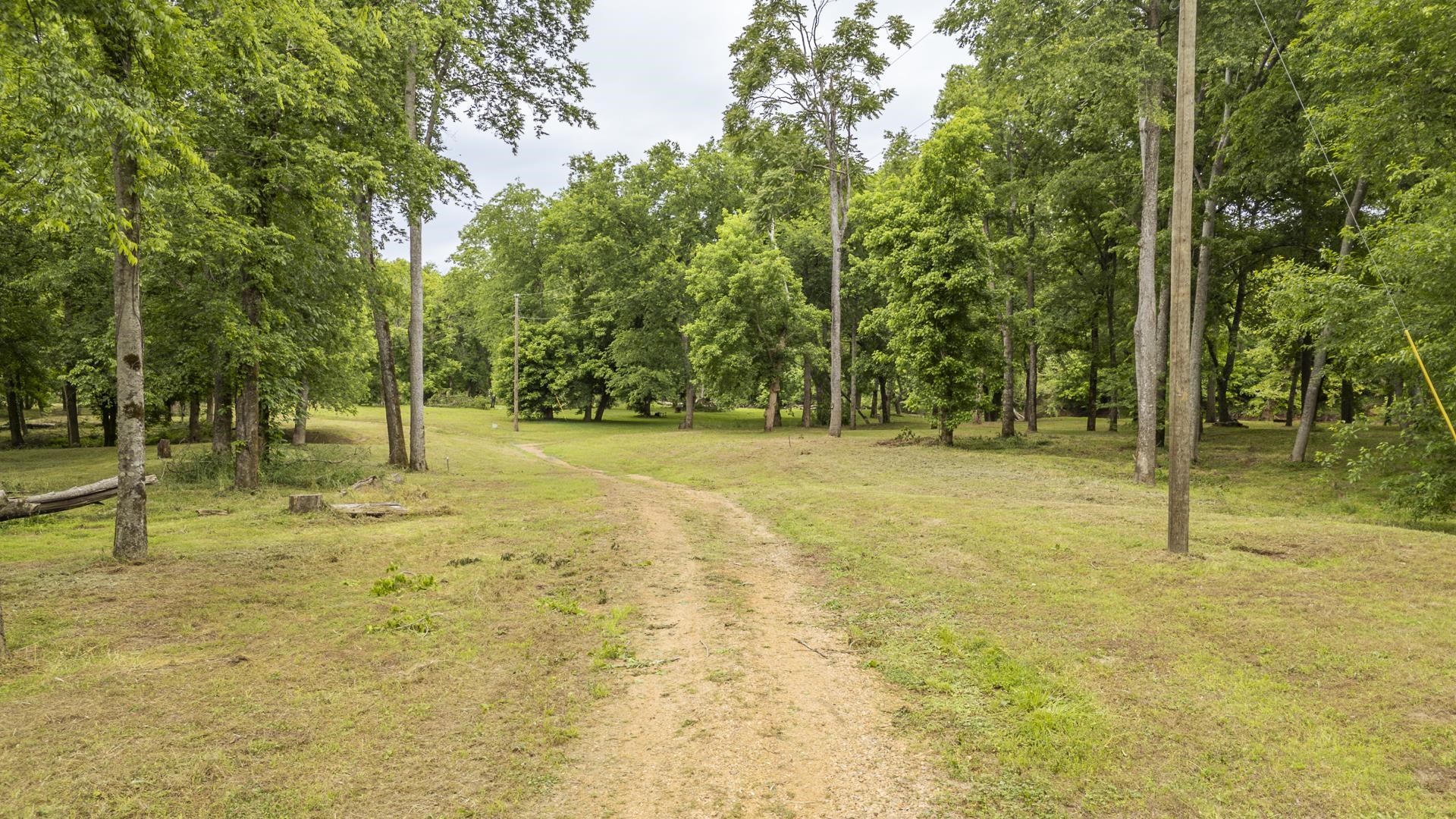 Buffalo River Road Waynesboro, TN 38485 - Photo 22 of 40 a swimming pool with trees in the background