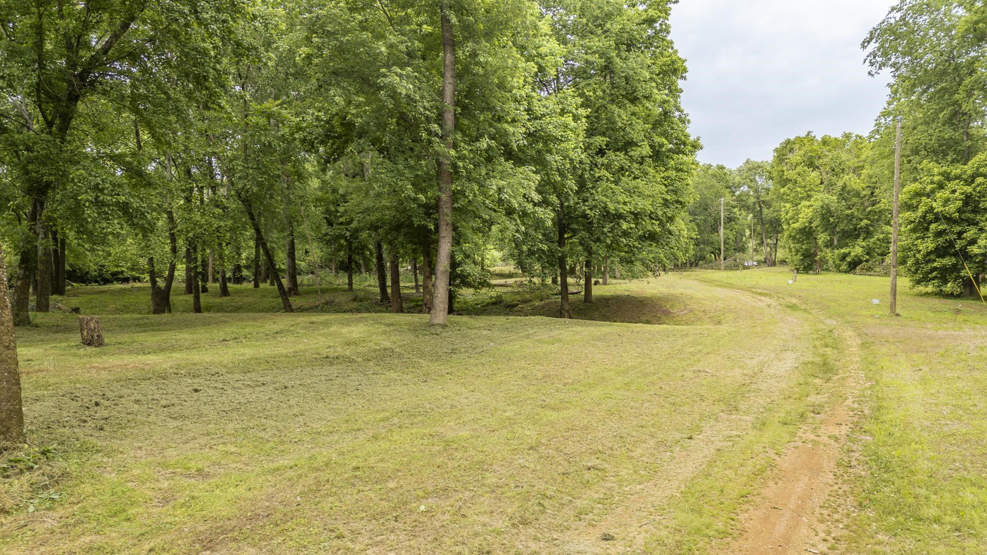 Buffalo River Road Waynesboro, TN 38485 - Photo 23 of 40 a view of yard with green space