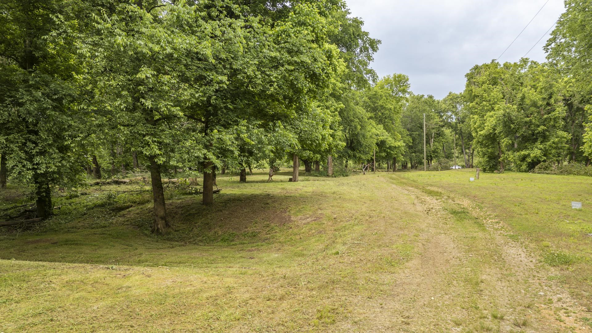 Buffalo River Road Waynesboro, TN 38485 - Photo 24 of 40 a view of a yard with trees