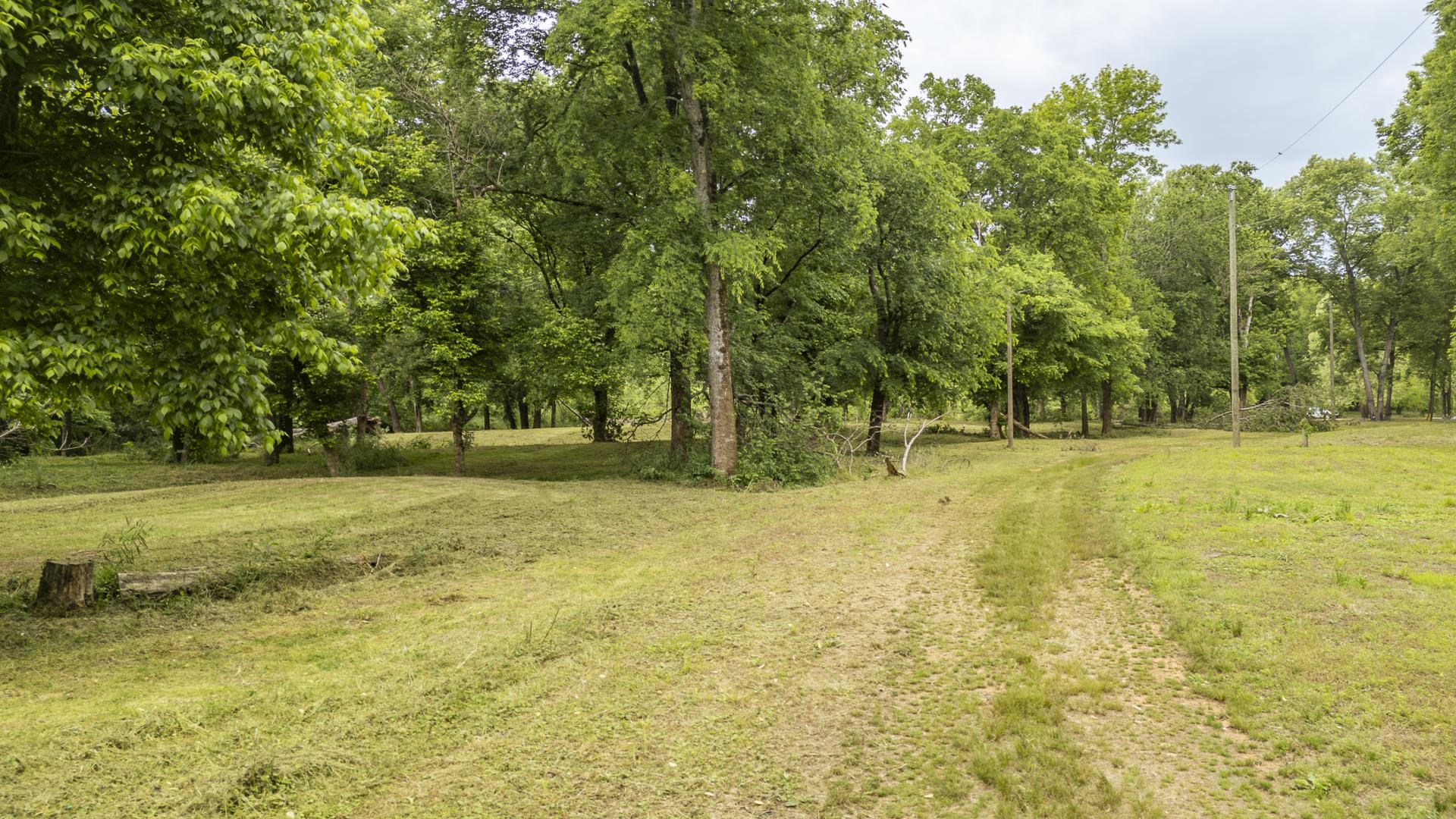 Buffalo River Road Waynesboro, TN 38485 - Photo 25 of 40 a view of swimming pool with trees