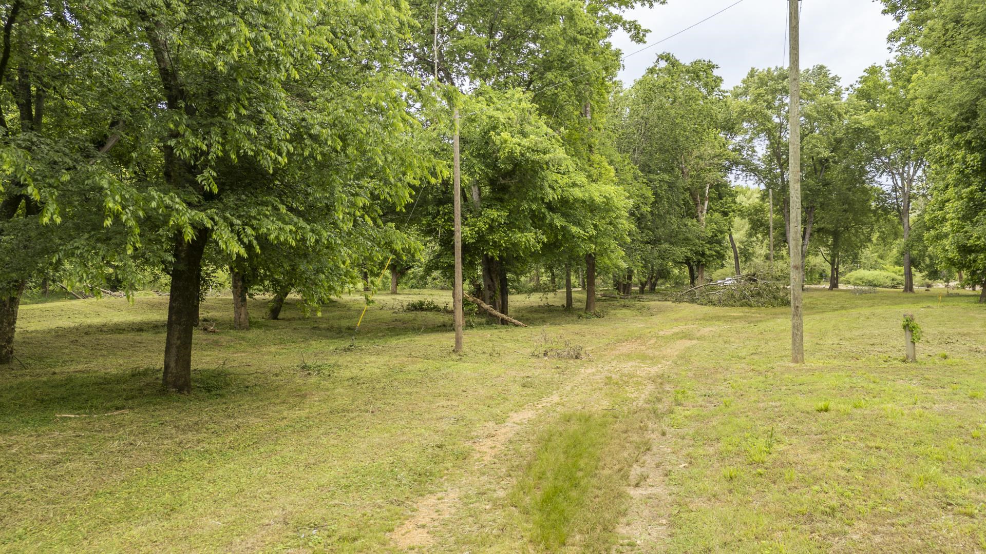 Buffalo River Road Waynesboro, TN 38485 - Photo 26 of 40 a view of yard with tree