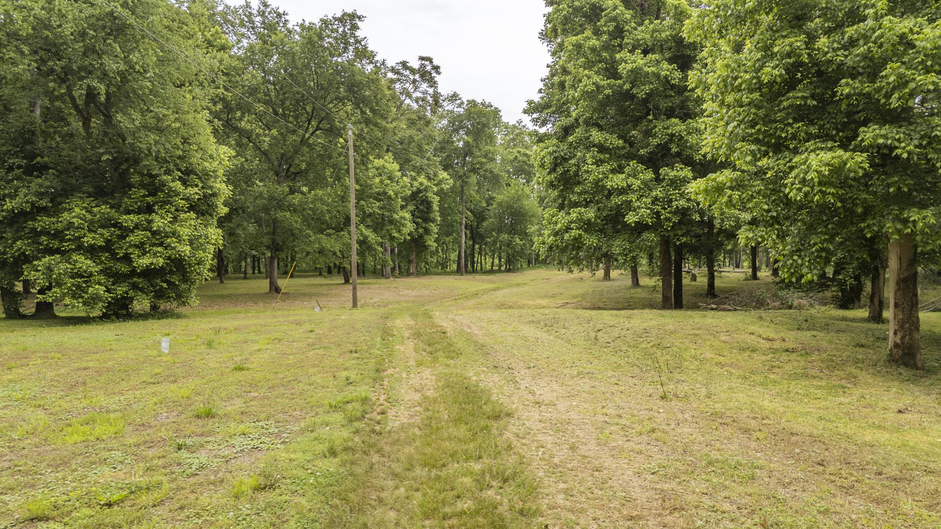 Buffalo River Road Waynesboro, TN 38485 - Photo 27 of 40 a view of a trees with yard