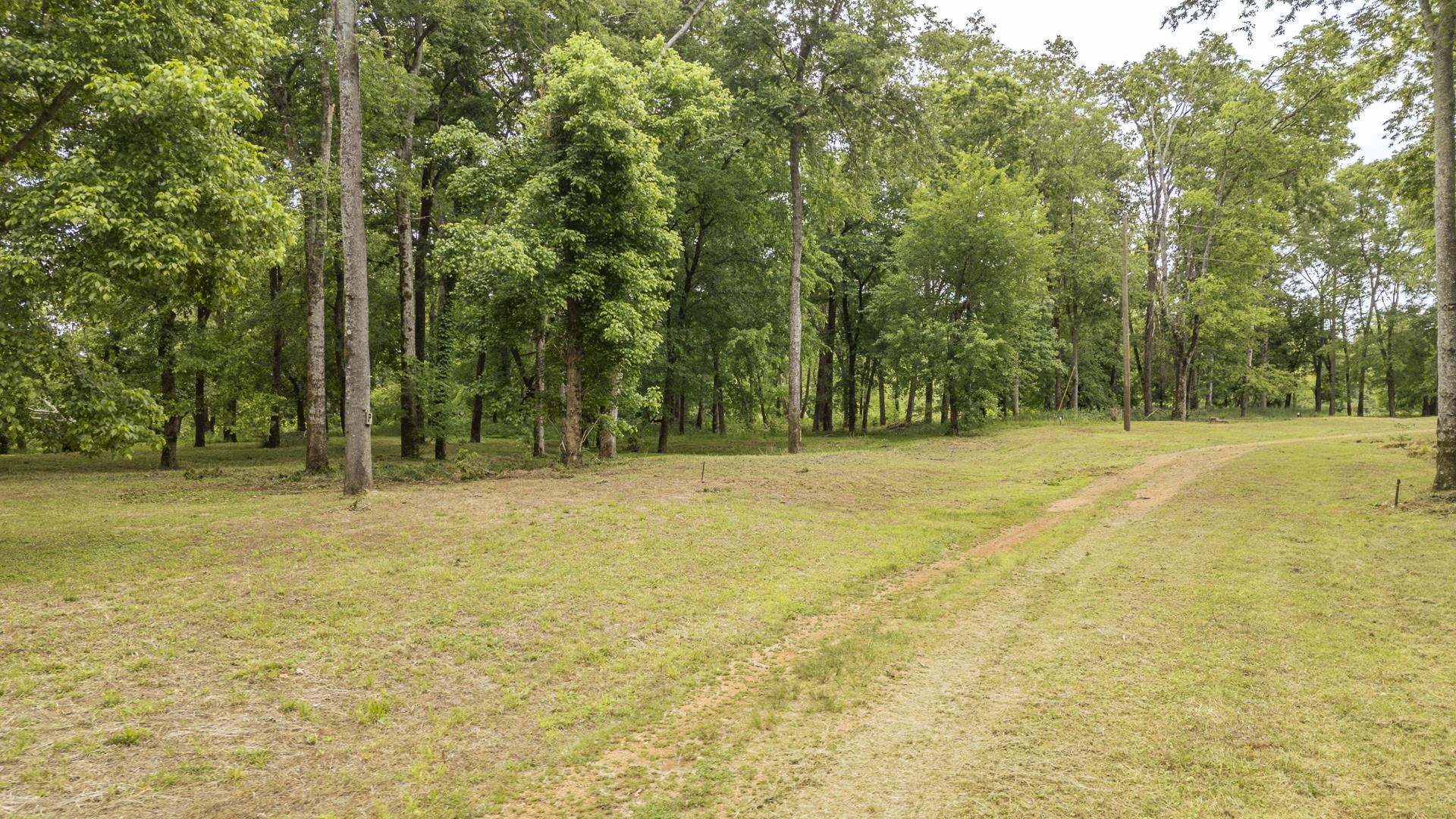 Buffalo River Road Waynesboro, TN 38485 - Photo 29 of 40 a view of a yard with trees