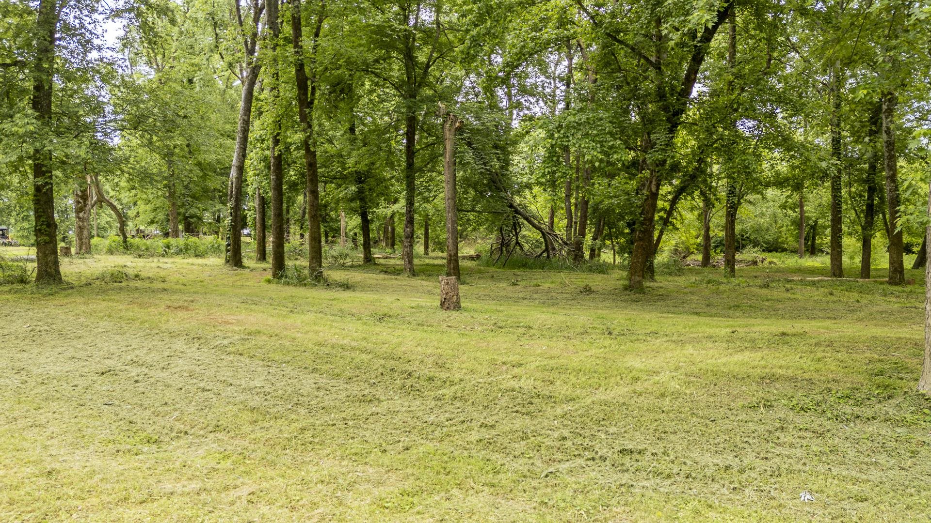 Buffalo River Road Waynesboro, TN 38485 - Photo 30 of 40 a swimming pool with lots of trees