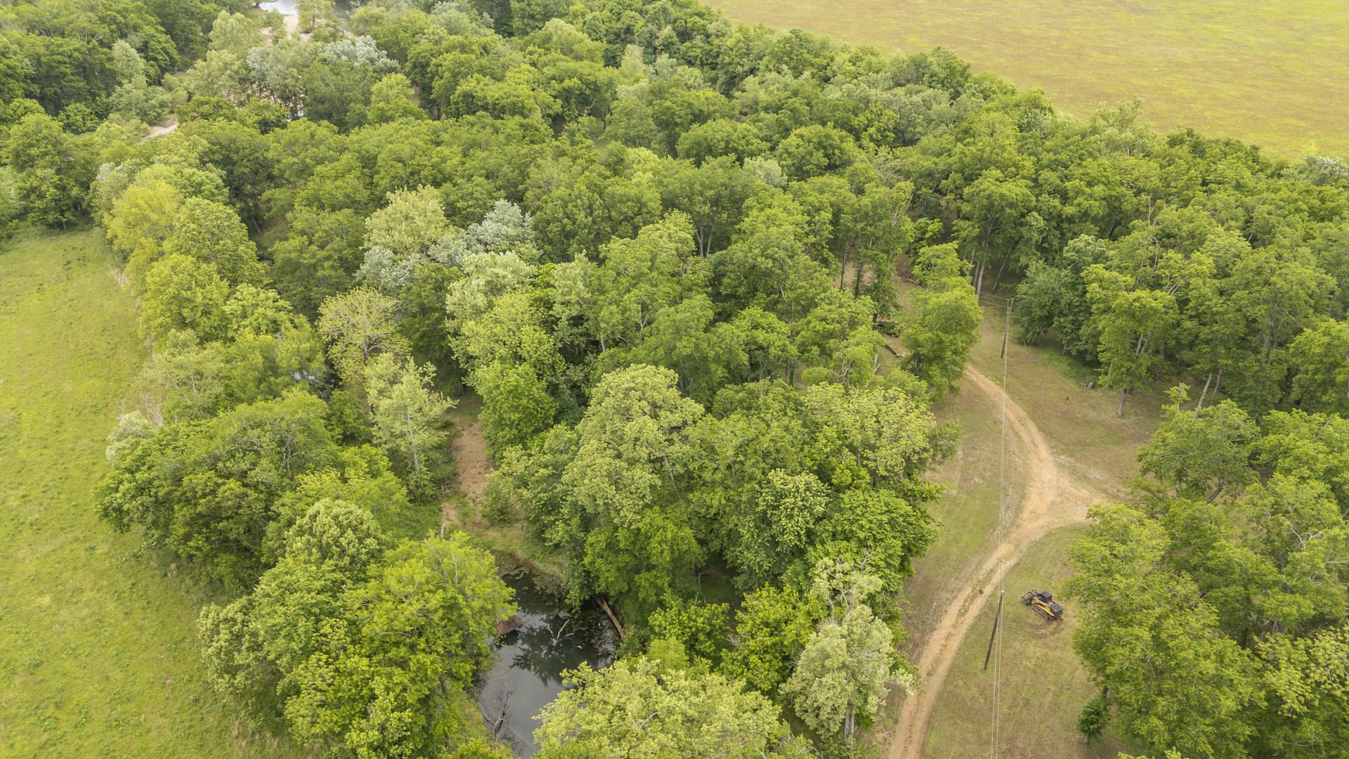 Buffalo River Road Waynesboro, TN 38485 - Photo 37 of 40 a view of a forest with an outdoor space
