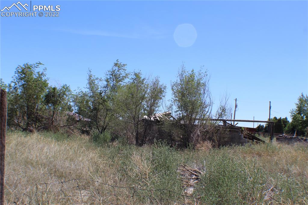 29454 County Farm Road Pueblo, CO 81006 - Photo 24 of 25 a view of a dry yard with trees