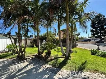 a view of a garden with a tree