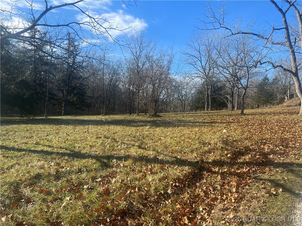 28675 Heits Point Avenue Lincoln, MO 65338 - Photo 15 of 43