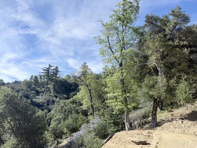 32900 South Grade Road Palomar Mountain, CA 92060 - Photo 11 of 19