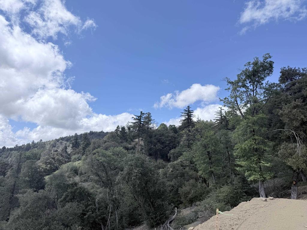32900 South Grade Road Palomar Mountain, CA 92060 - Photo 12 of 19