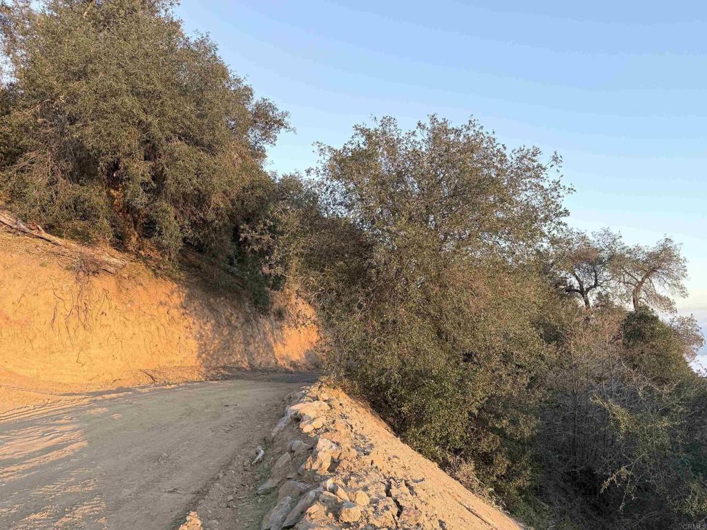 32900 South Grade Road Palomar Mountain, CA 92060 - Photo 13 of 19