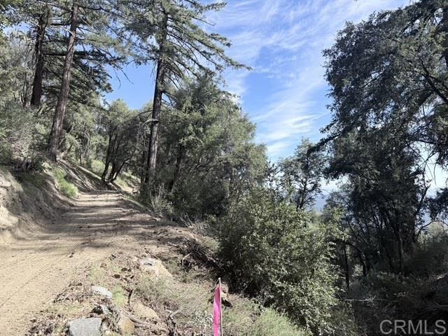 32900 South Grade Road Palomar Mountain, CA 92060 - Photo 15 of 19