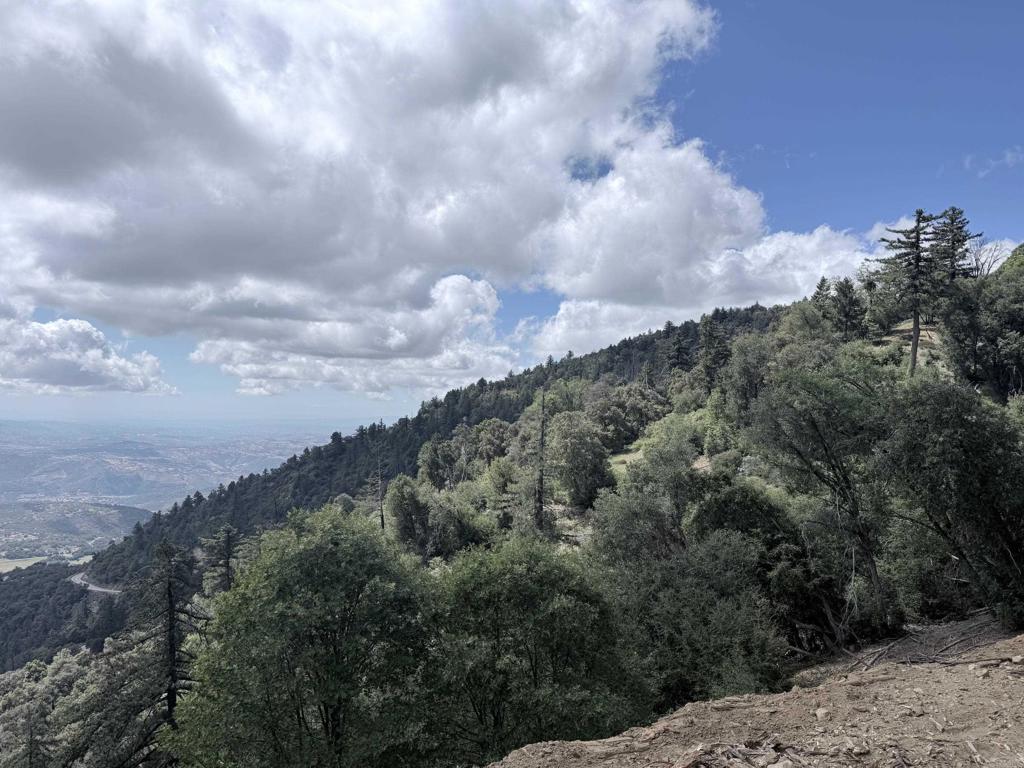 32900 South Grade Road Palomar Mountain, CA 92060 - Photo 17 of 19