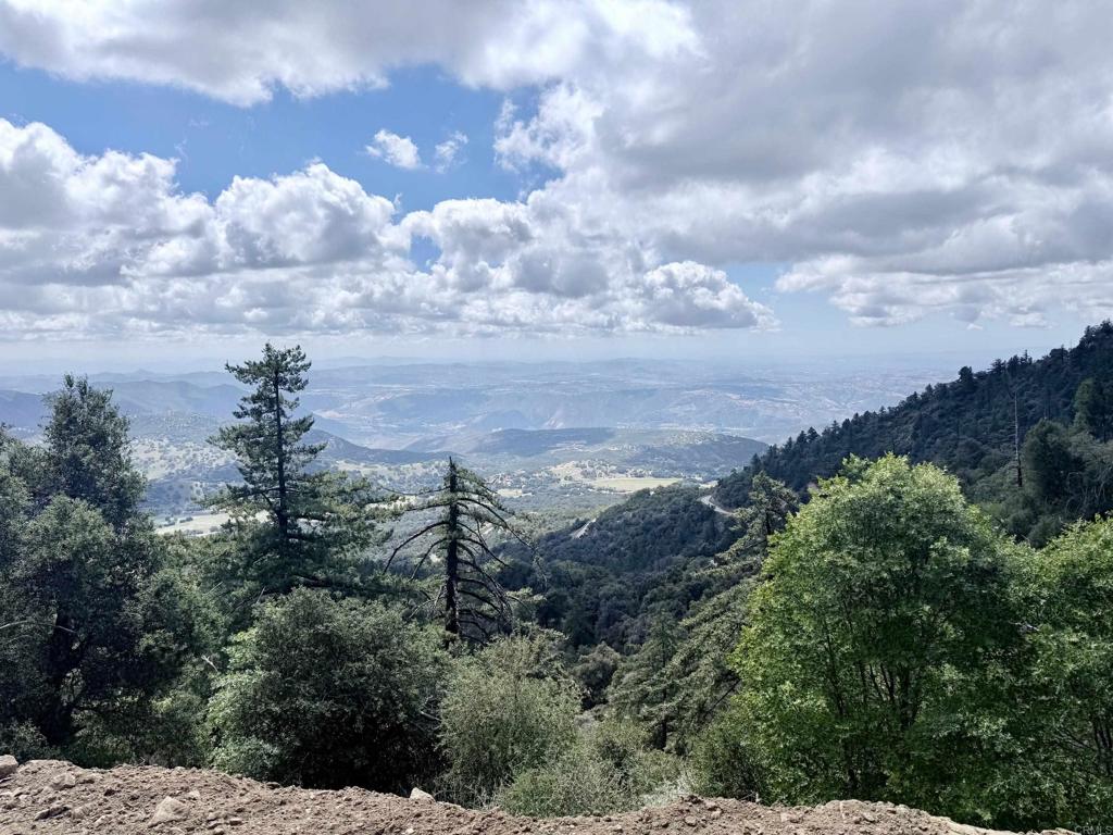 32900 South Grade Road Palomar Mountain, CA 92060 - Photo 4 of 19
