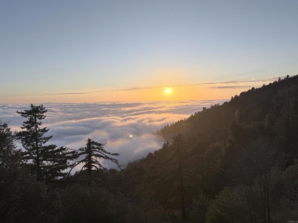 32900 South Grade Road Palomar Mountain, CA 92060 - Photo 5 of 19