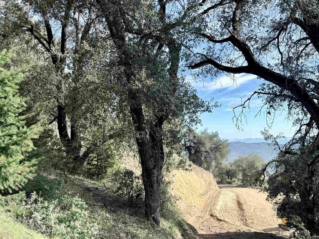 32900 South Grade Road Palomar Mountain, CA 92060 - Photo 9 of 19