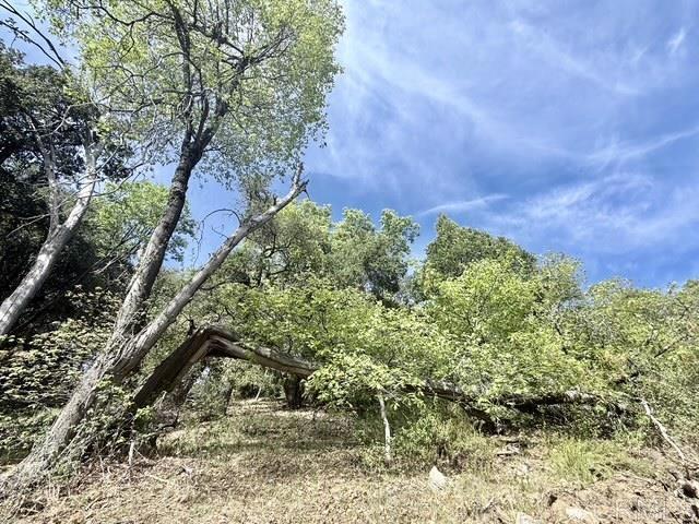 32900 South Grade Road Palomar Mountain, CA 92060 - Photo 10 of 19