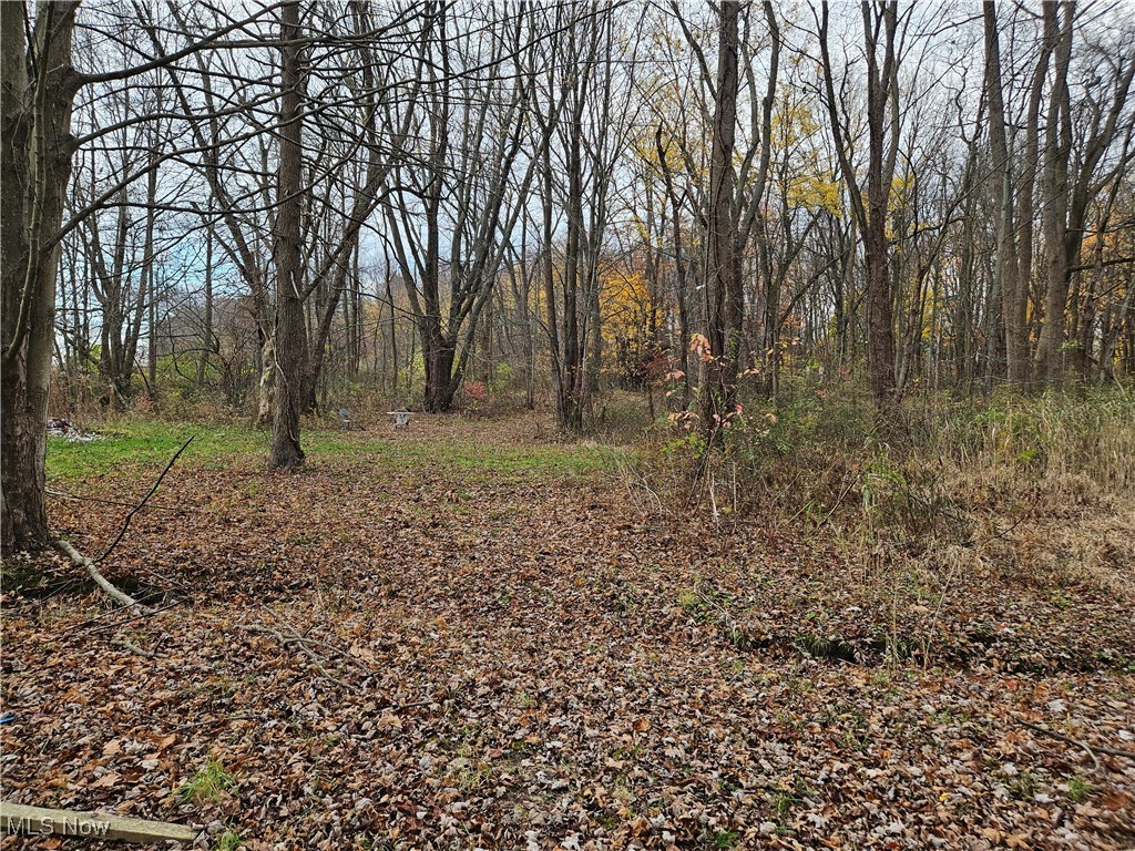 2866 McMackin Road Madison, OH 44057 - Photo 16 of 17 View of landscape