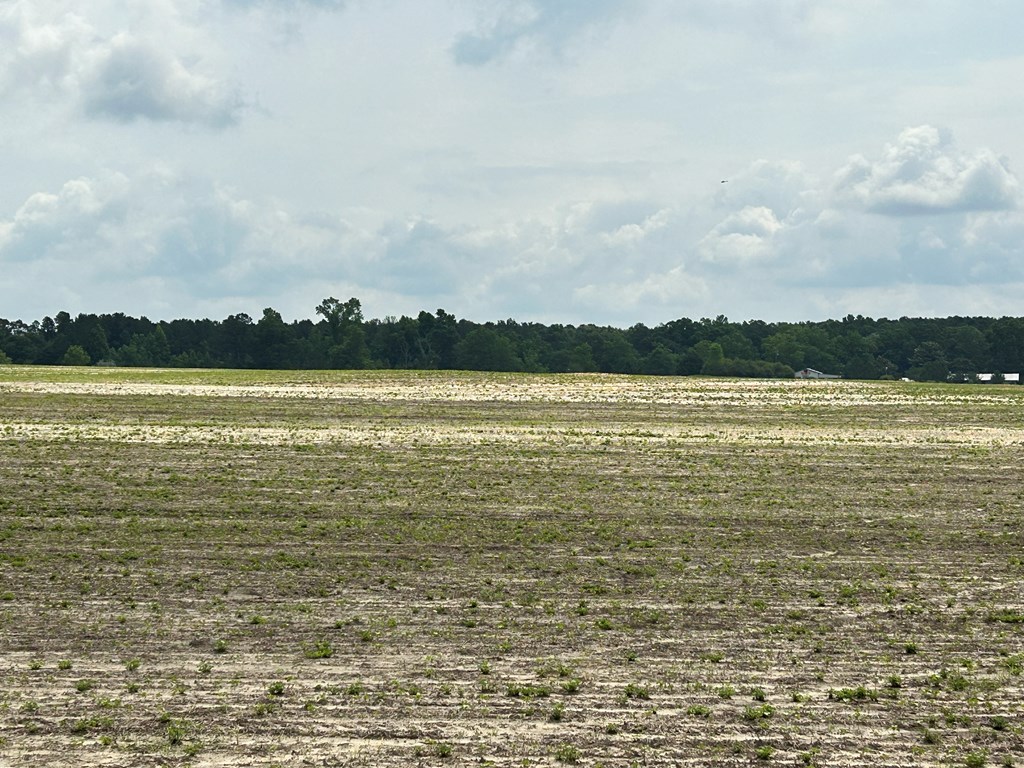 40.522-ac Cecil Varnum Road Dothan, AL 36301 - Photo 6 of 38
