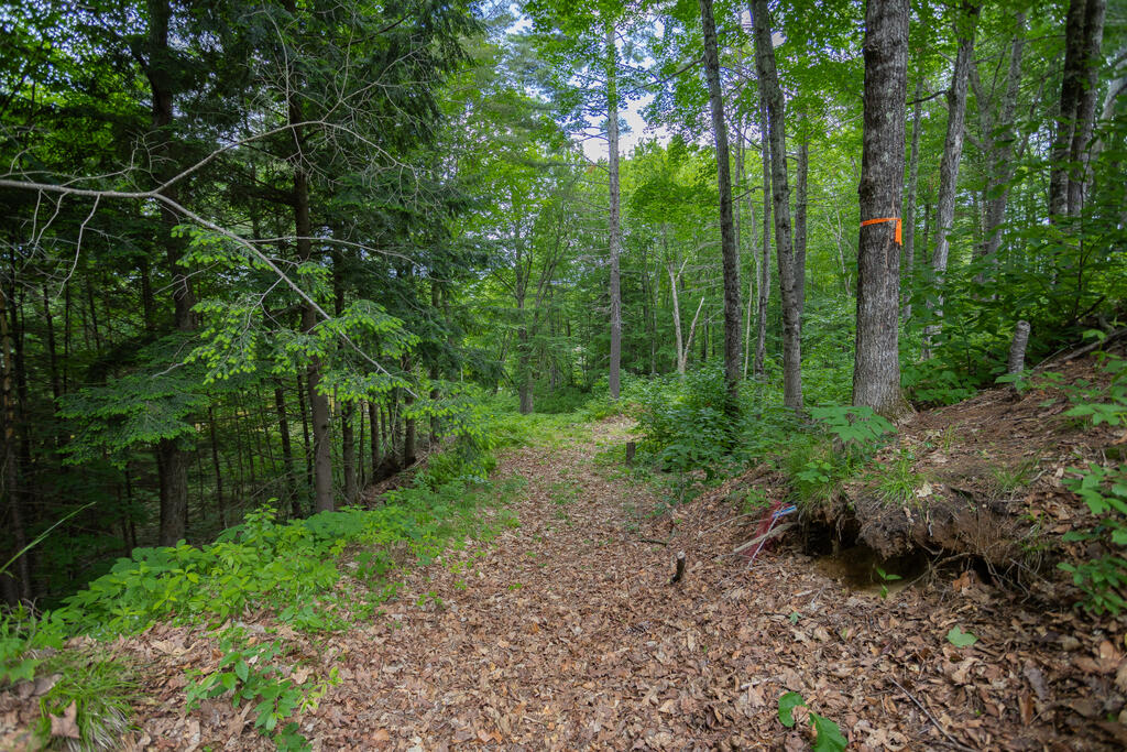 116 B Intervale Road New Sharon, ME 04955 - Photo 29 of 54 srr-24