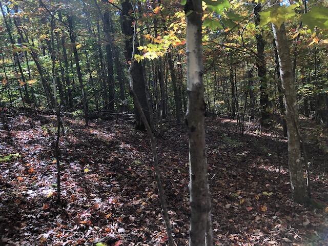 0 Virden Ridge Road, Unit PARCEL 3 Clay City, KY 40312 - Photo 10 of 19 IMG_4475