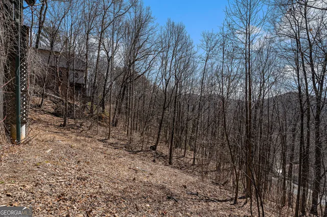 $995,000 | 1007 Sky High Drive, Sky Valley, GA 30537