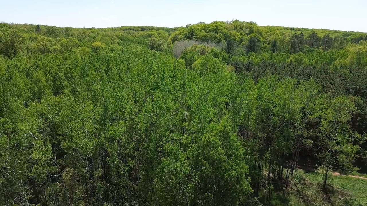 349 X 5th Avenue Shell Lake, WI 54871 - Photo 20 of 37