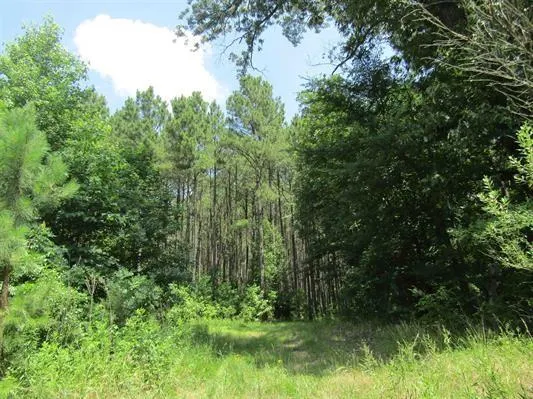 a view of outdoor space