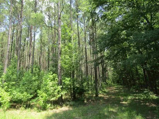 $385,000 | 0 Farm To Market 114 Avery Tx 75554, Avery, TX 75554