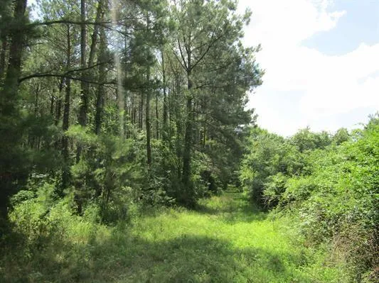 $385,000 | 0 Farm To Market 114 Avery Tx 75554, Avery, TX 75554
