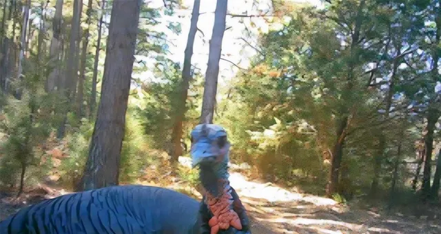 a view of outdoor space and yard