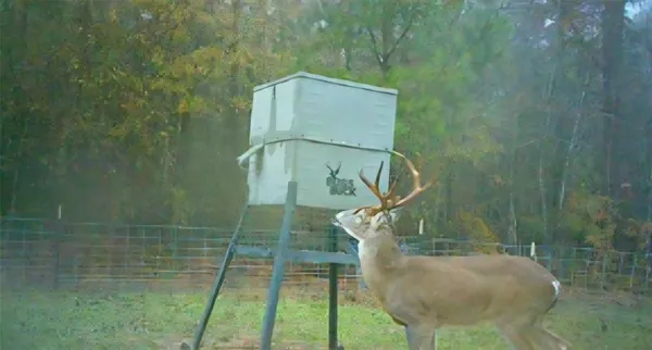 $385,000 | 0 Farm To Market 114 Avery Tx 75554, Avery, TX 75554