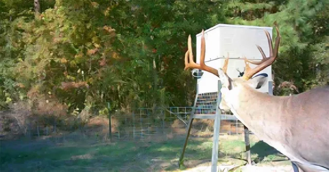 a view of an outdoor space with seating area