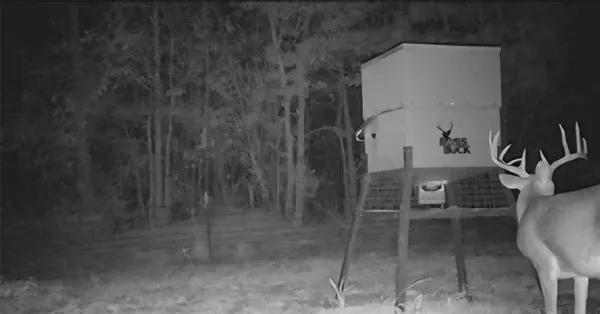 $385,000 | 0 Farm To Market 114 Avery Tx 75554, Avery, TX 75554