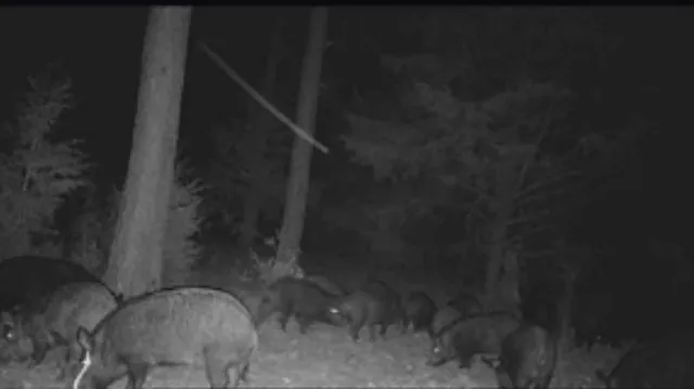 a terrace with table and chairs